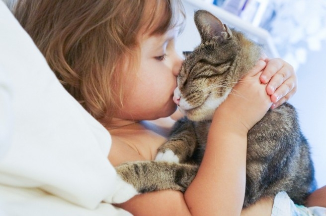 Alergia a pêlos e caspa de animais