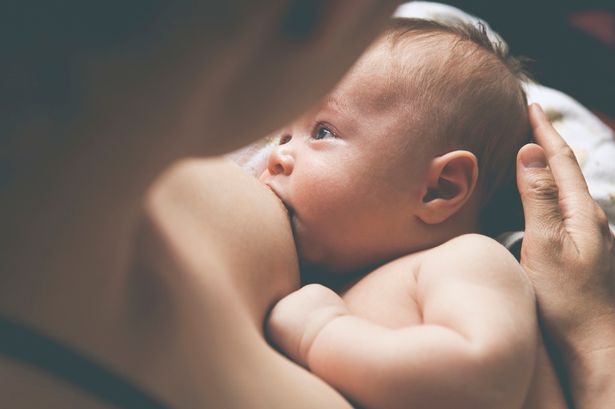 O leite materno contribui na prevenção de alergias