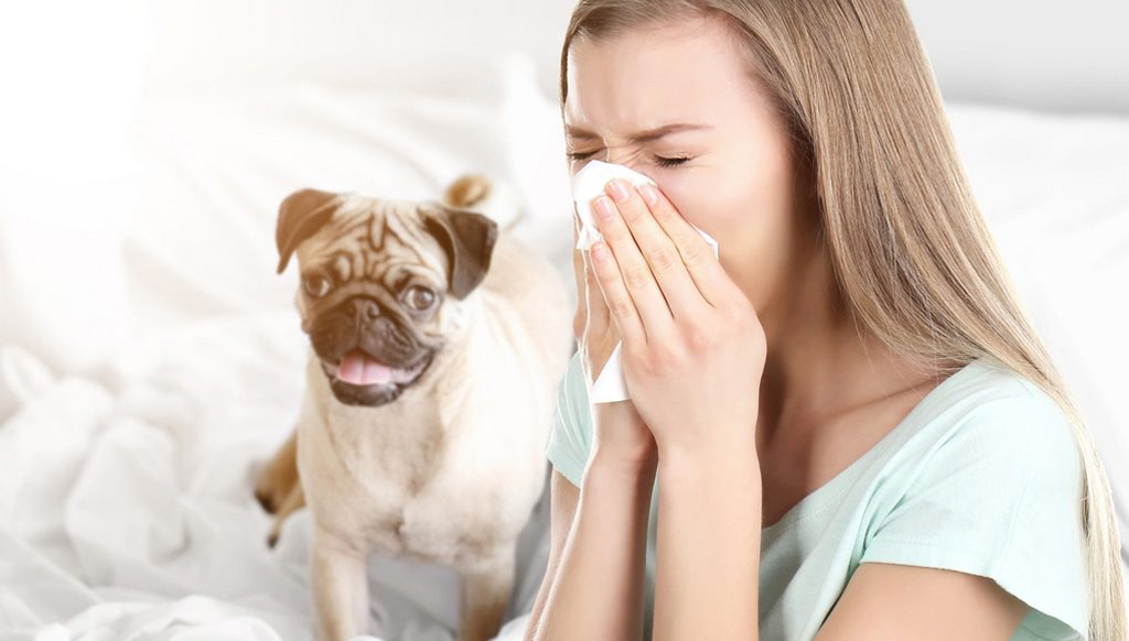 COMO SABER SE TEM ALERGIA A ANIMAIS E O QUE FAZER